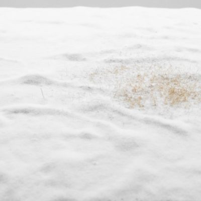 Grasmatte Schneewiese